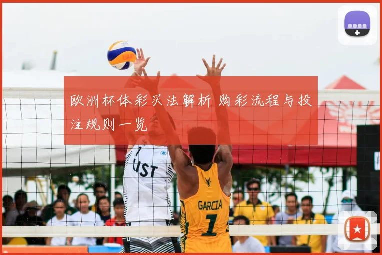 欧洲杯体彩买法解析 购彩流程与投注规则一览