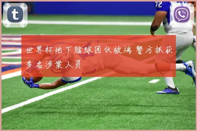 世界杯地下赌球团伙被端 警方抓获多名涉案人员