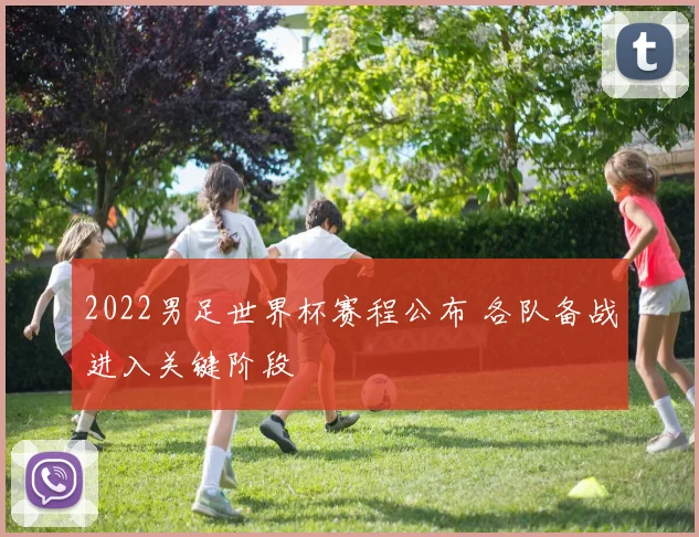 2022男足世界杯赛程公布 各队备战进入关键阶段