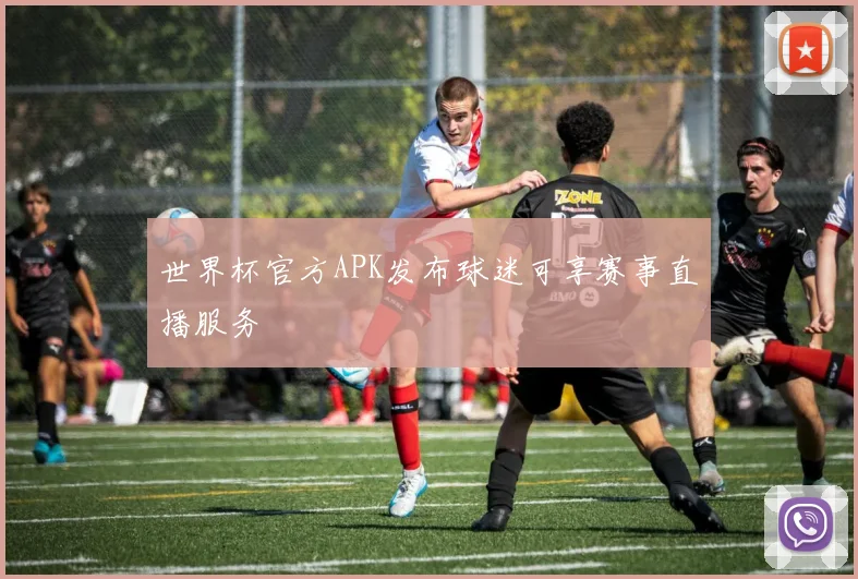 世界杯官方APK发布球迷可享赛事直播服务